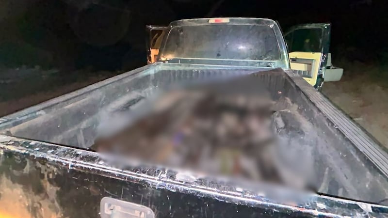 Aseguran arsenal de alto poder en Badiraguato; hallan fusil Barret, ametralladoras y lanzagranadas