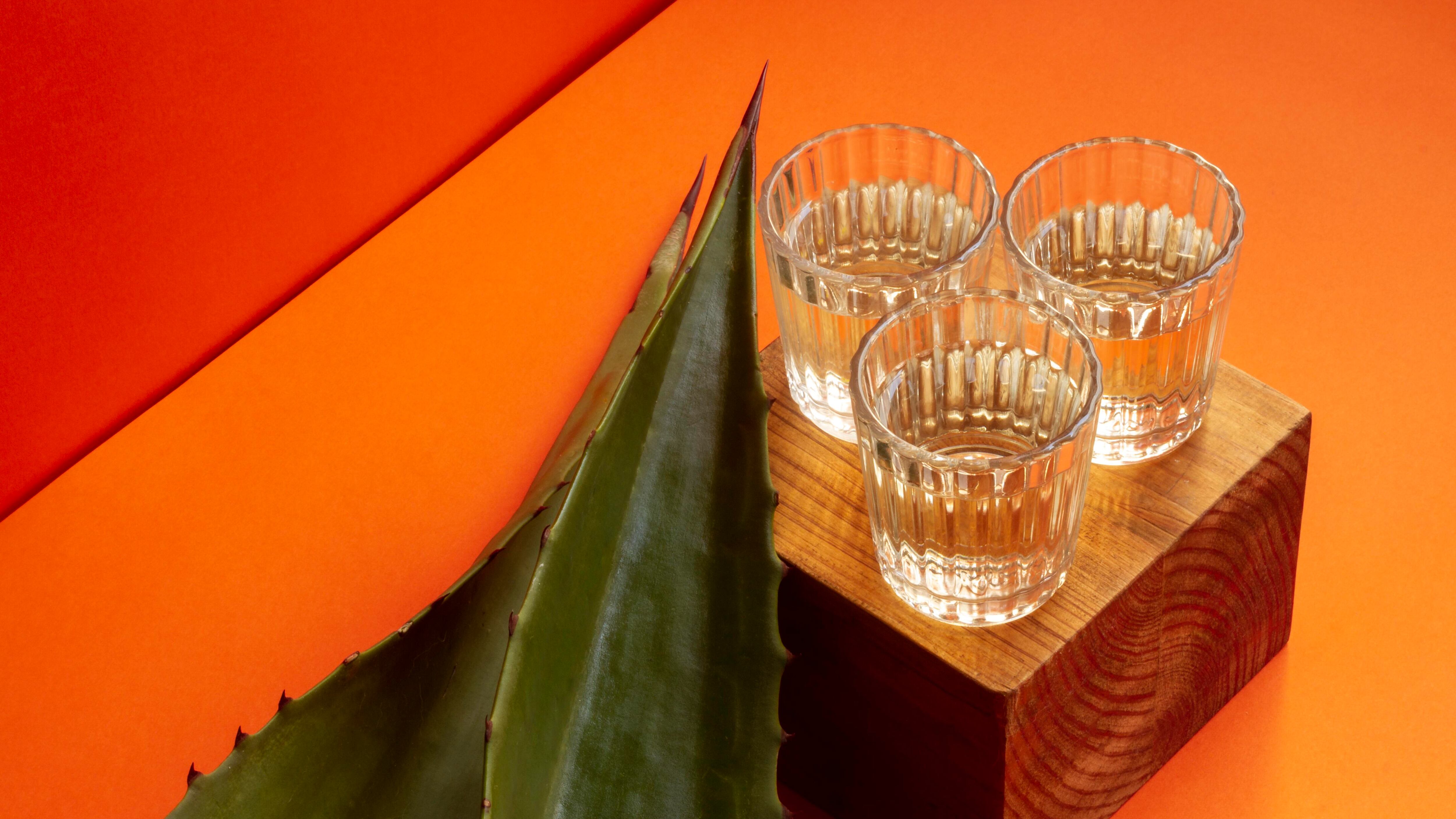 Te compartimos recetas fáciles y deliciosas para preparar con mezcal, ideales para disfrutar entre amigos, en la playa o en casa con mucho estilo