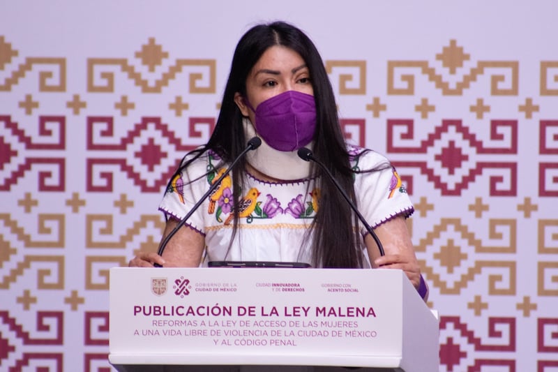 María Elena Ríos, activista impulsora de la Ley Malena, quien fue víctima de un ataque con ácido en 2019.