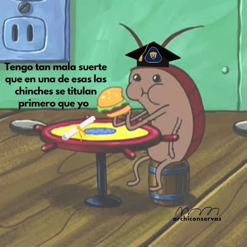 Memes por plaga de chinches en facultades de la UNAM