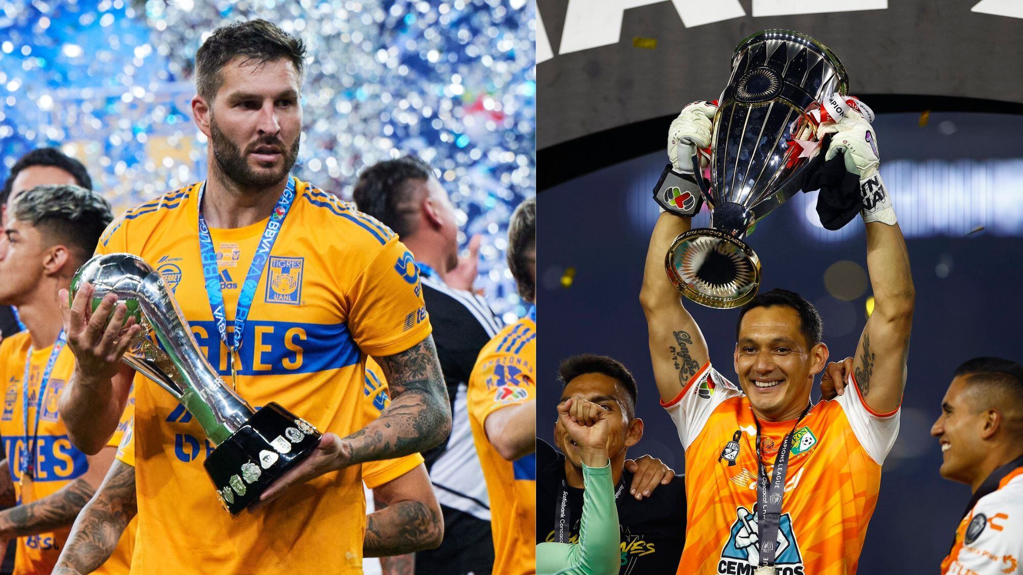 Tigres y León
