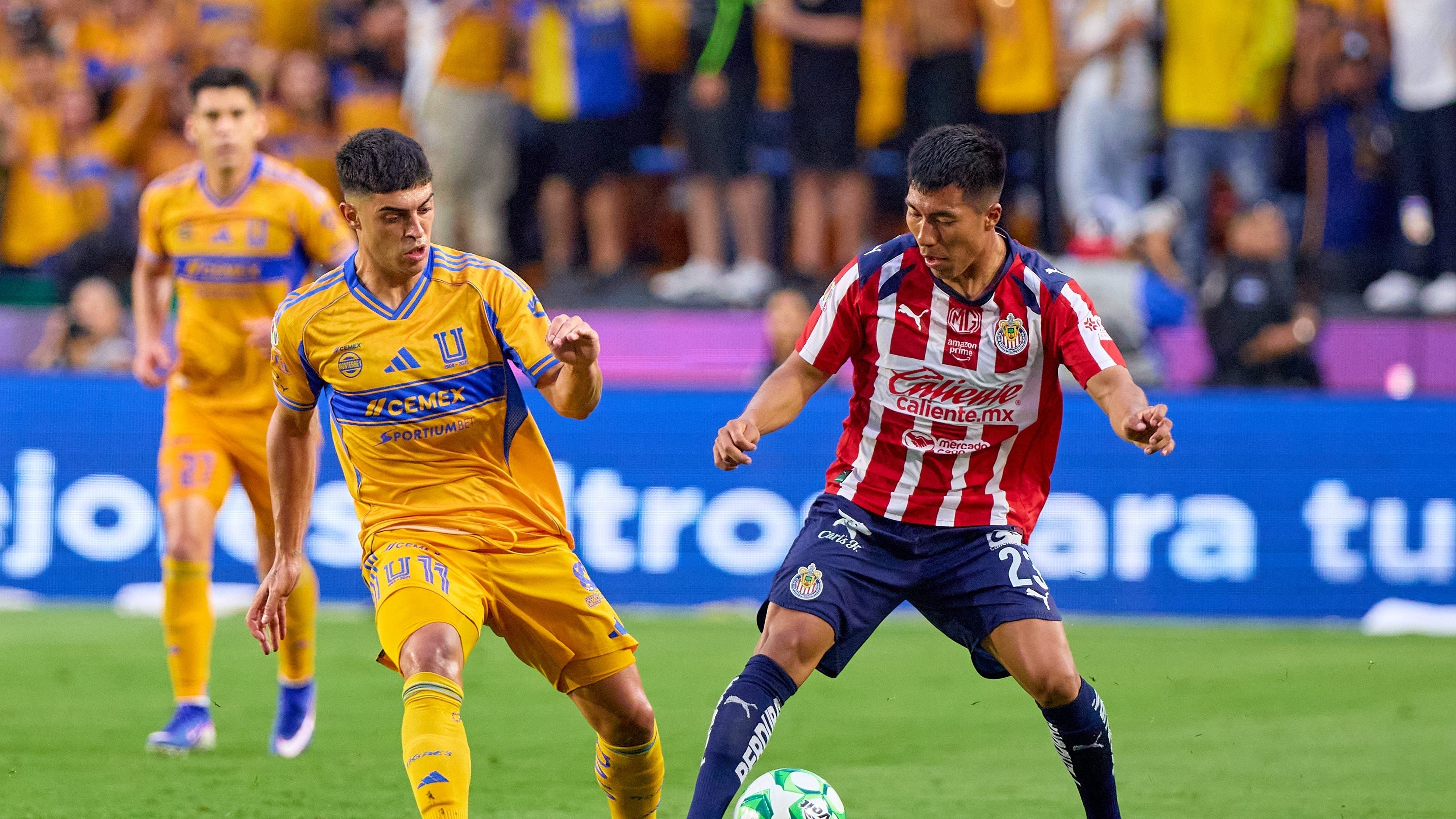Tigres venció a Chivas en su último enfrentamiento.