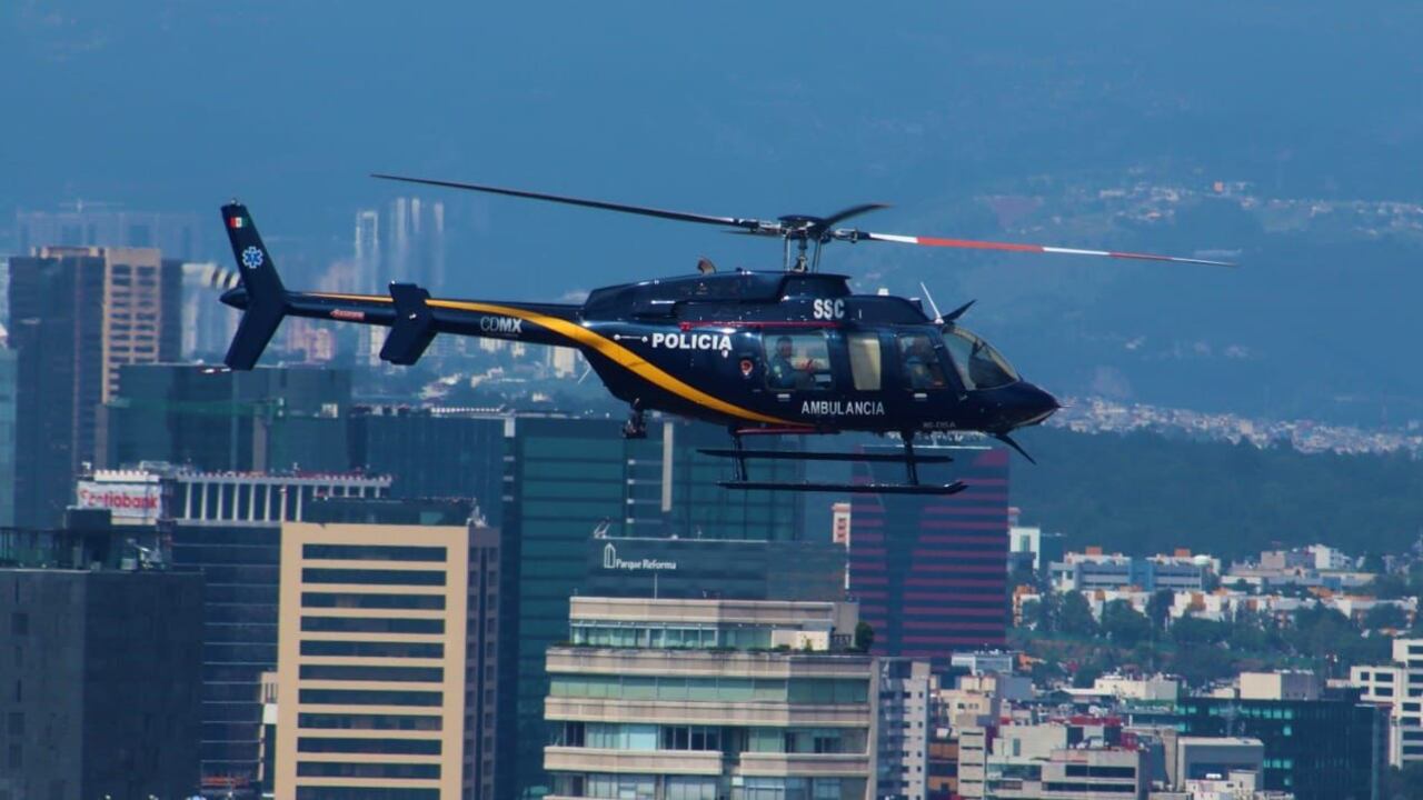 Cóndor en la CDMX. Foto: SSC