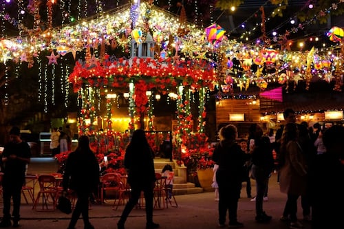 Conoce Navidalia, el espacio ideal para vivir la magia de la Navidad llena de Nochebuenas