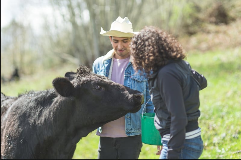 Mujeres en el campo