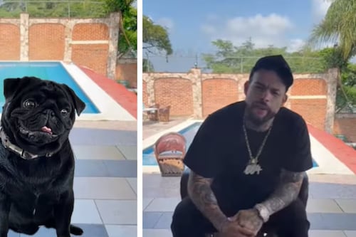 Emiliano rechaza las disculpas de Pepe Aguilar y su perro ‘gordo’; lo apoyan en redes
