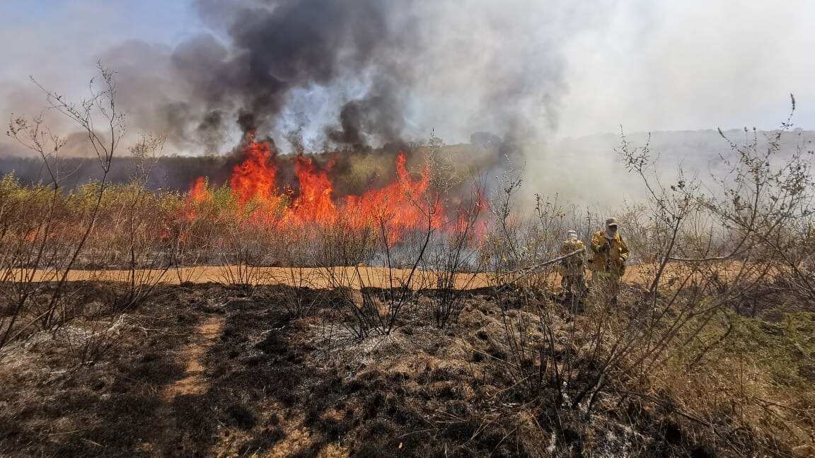 (Imagen ilustrativa). ESPECIAL/ GOBIERNO DE JALISCO
