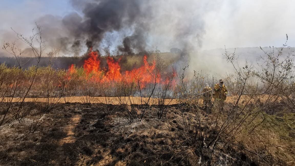 (Imagen ilustrativa). ESPECIAL/ GOBIERNO DE JALISCO