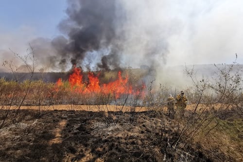 Incendios: Combaten fuego en San Sebastián del Oeste; hay cuatro siniestros activos en la región