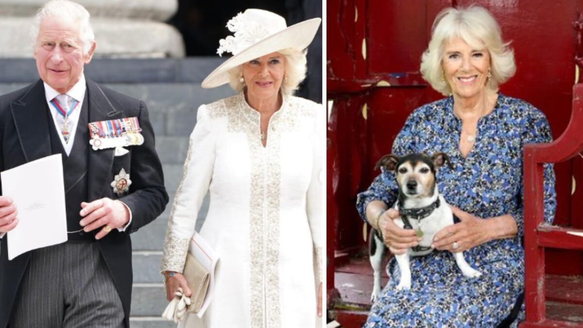 Camilla Parker: ellos son los dos hijos que tuvo antes de casarse con el rey Carlos III