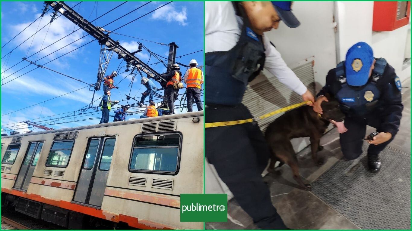 Rescatan a lomito en el Metro de la CDMX: ¿Cómo se meten?