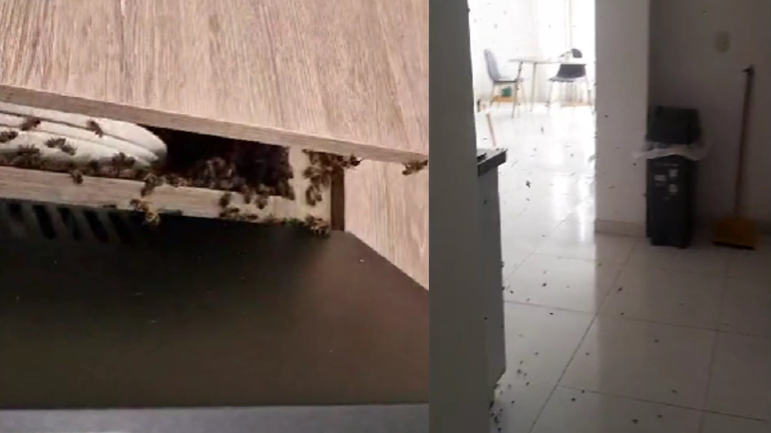 De película fue lo que vivió un hombre, pero esta vez en la vida real