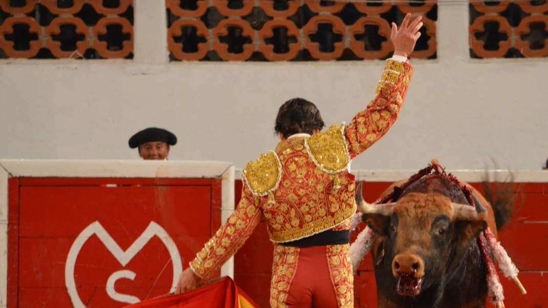 Toros