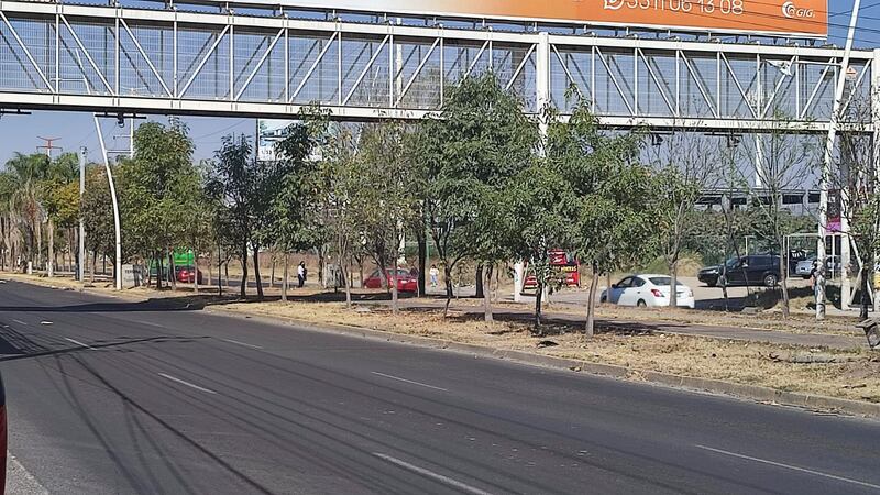 Algunos automovilistas transitan la avenida Adolf Horn a más de 120 kilómetros por hora.