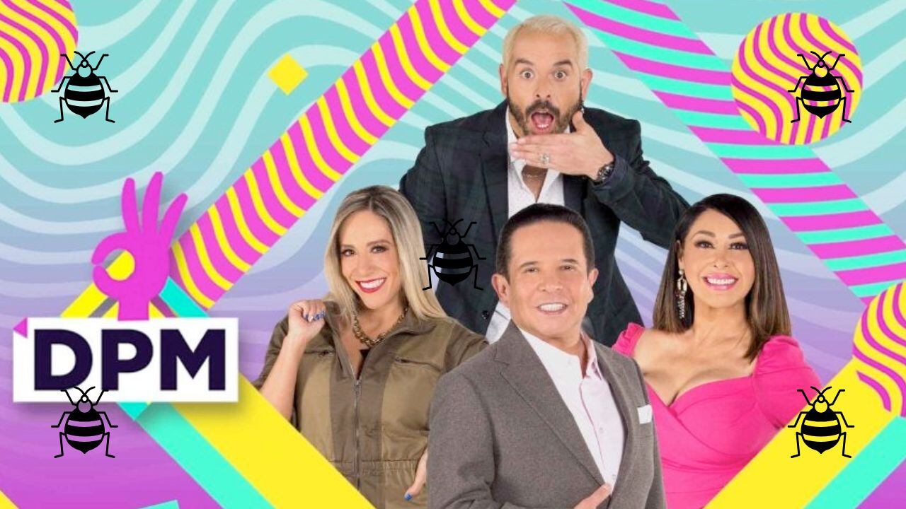 Revelan presencia de plaga de chinches en Imagen Televisión.