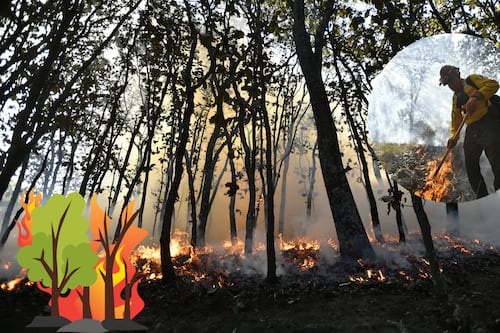 Prevén temporada de alto riesgo en Jalisco por incendios forestales; reportan tres quemas controladas