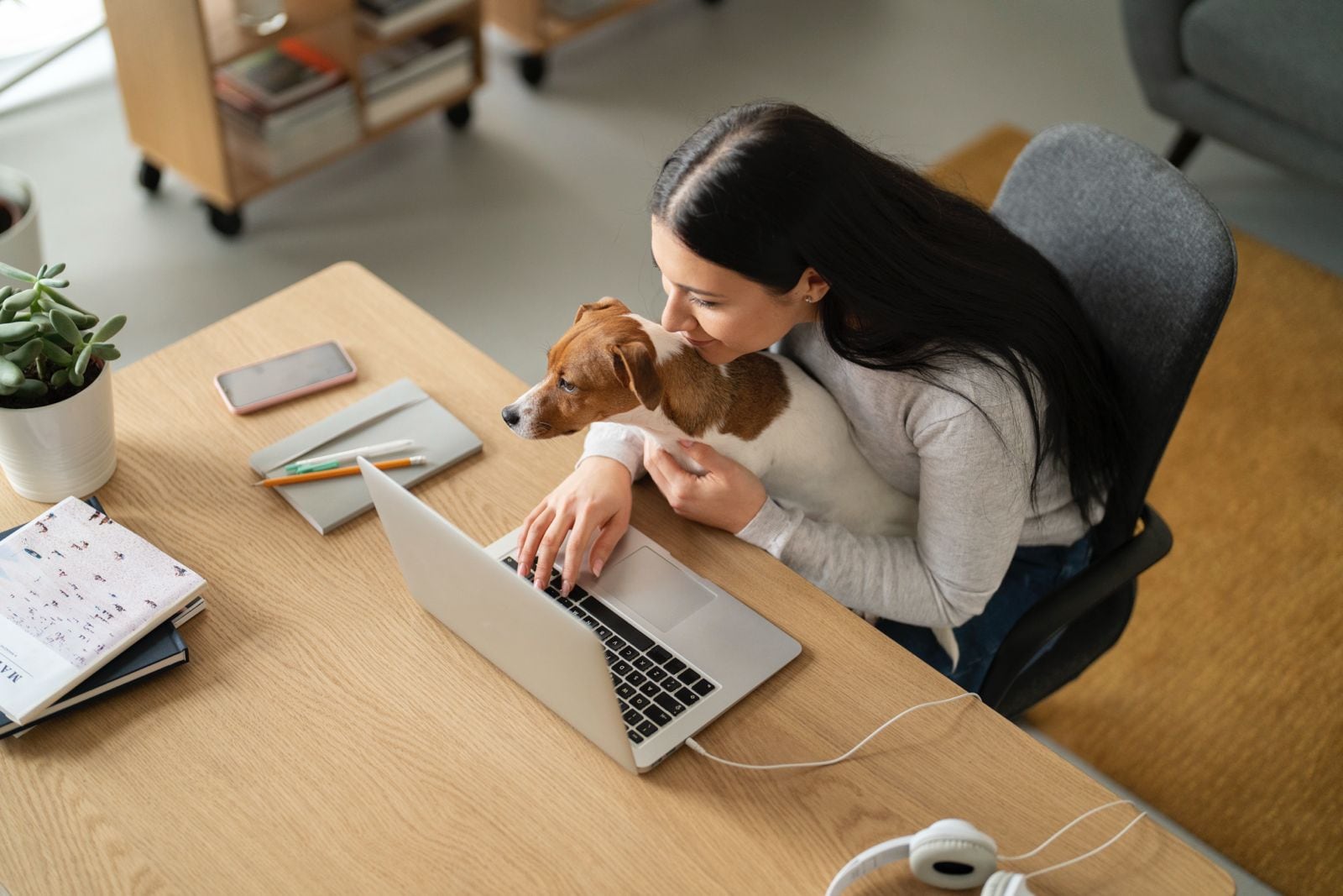 Llevar perros al trabajo no es solo moda: también exige responsabilidad
