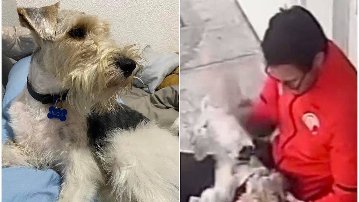 Fue golpeado en diversas ocasiones en su cabeza. (Especial)