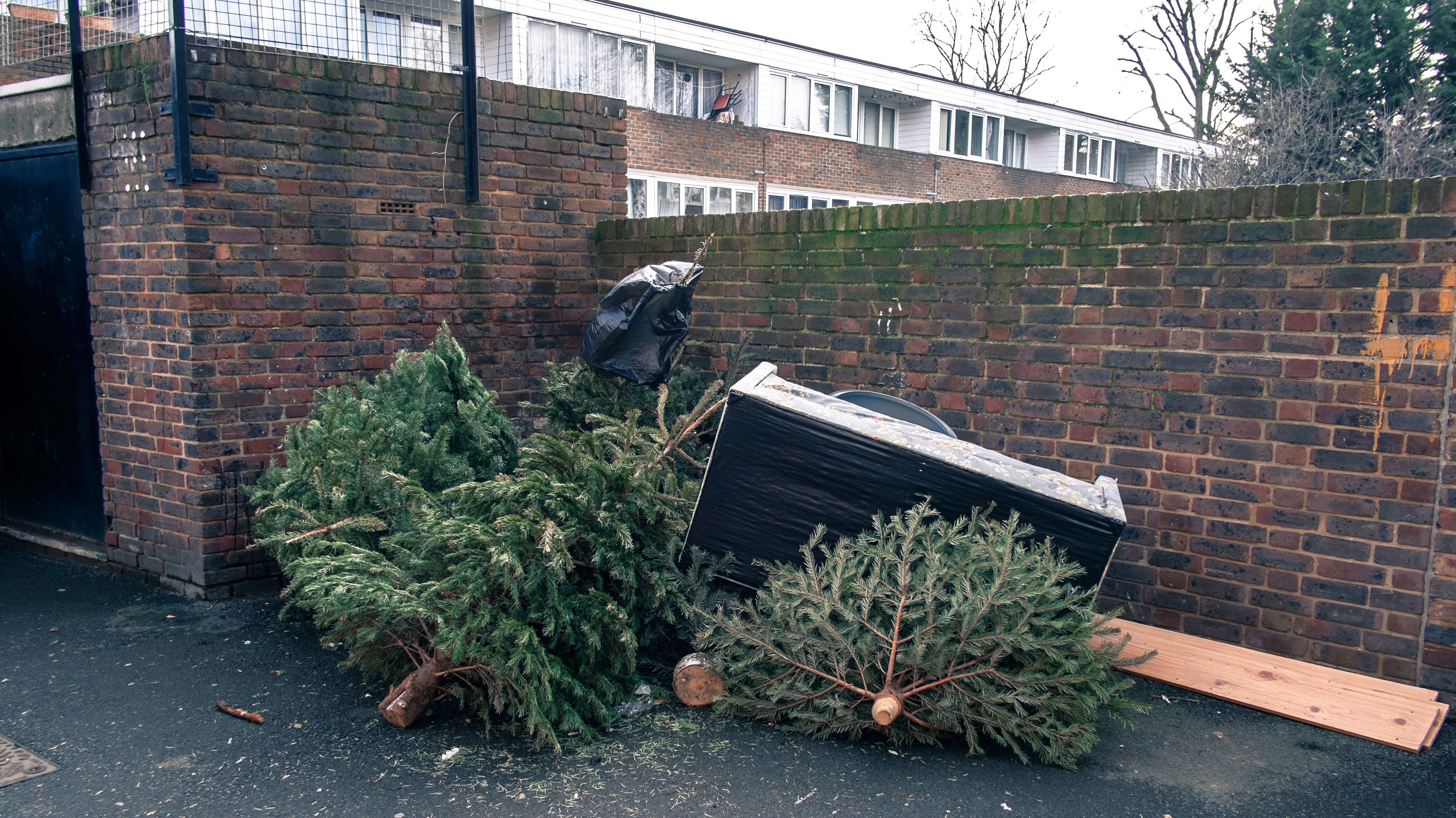 Árboles de Navidad convertidos en combustible
