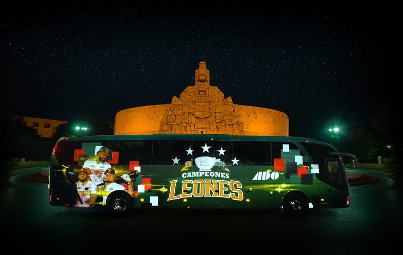 Leones de Yucatán