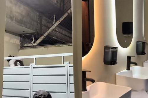 Lujo para unos, abandono para otros: El escándalo de los baños en el Azteca tras su reapertura