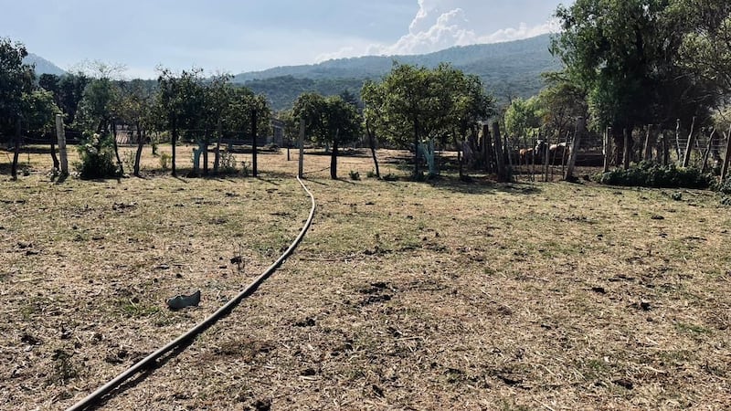 Detienen a agricultor por robar agua del Lago de Pátzcuaro