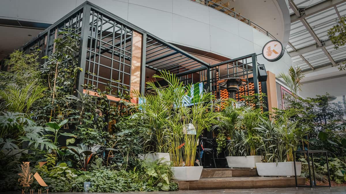 Restaurantes 14 de febrero