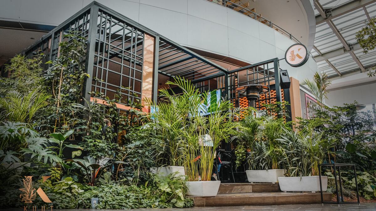 Restaurantes 14 de febrero