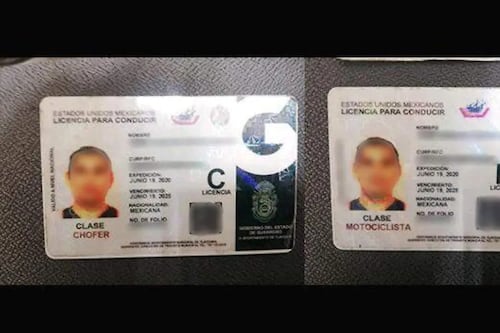 Van 180 detenidos por venta de licencias de manejo falsas en Querétaro