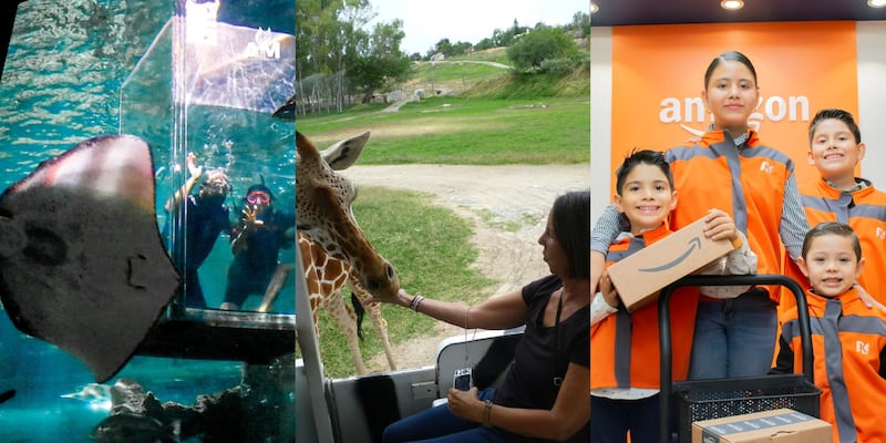 ESPECIAL/ KIDZANIA MÉXICO/ ZOOLÓGICO GUADALAJARA/ ACUARIO MICHIN