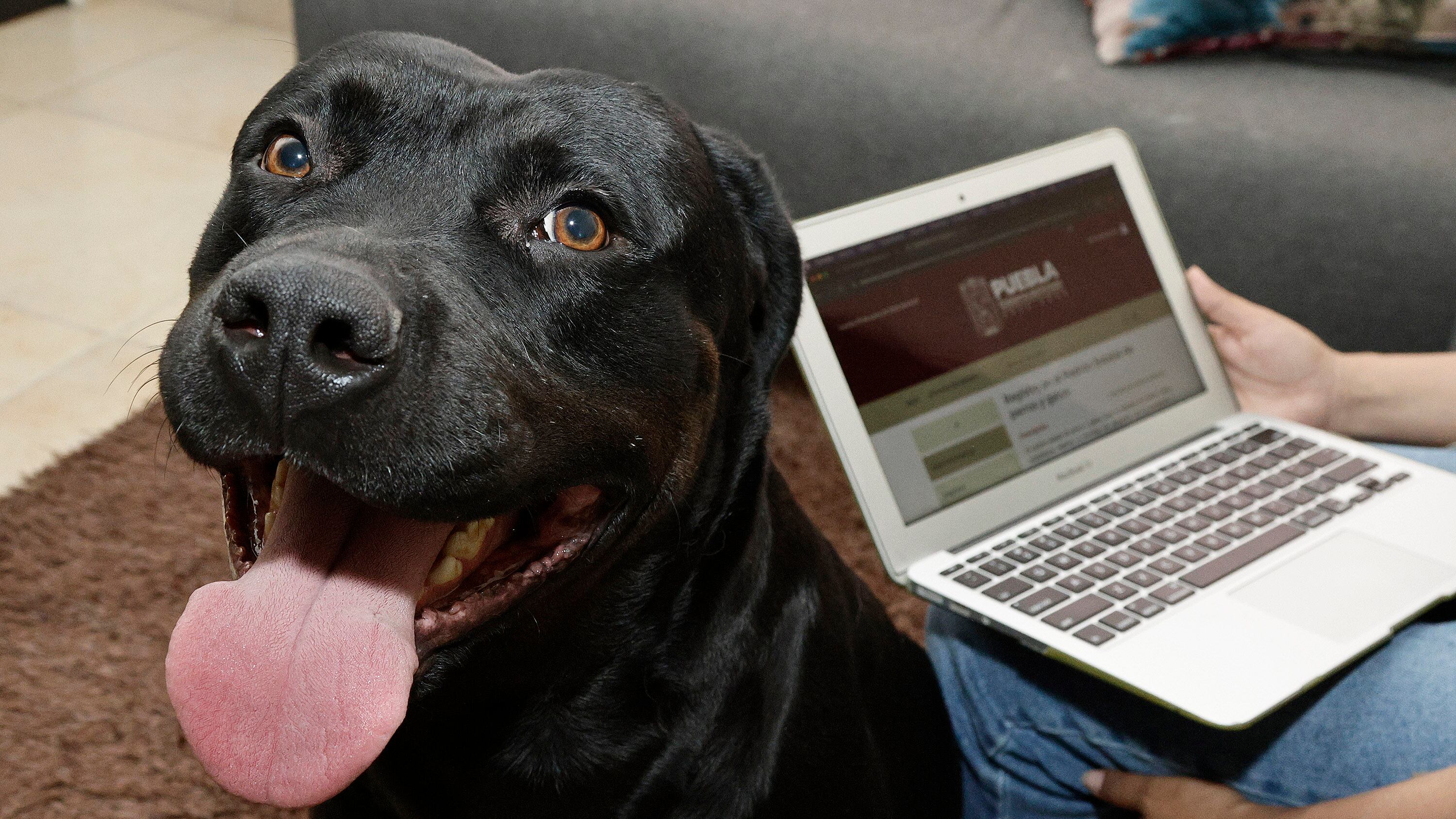 FOTO: Oscar Rodríguez/Agencia Enfoque