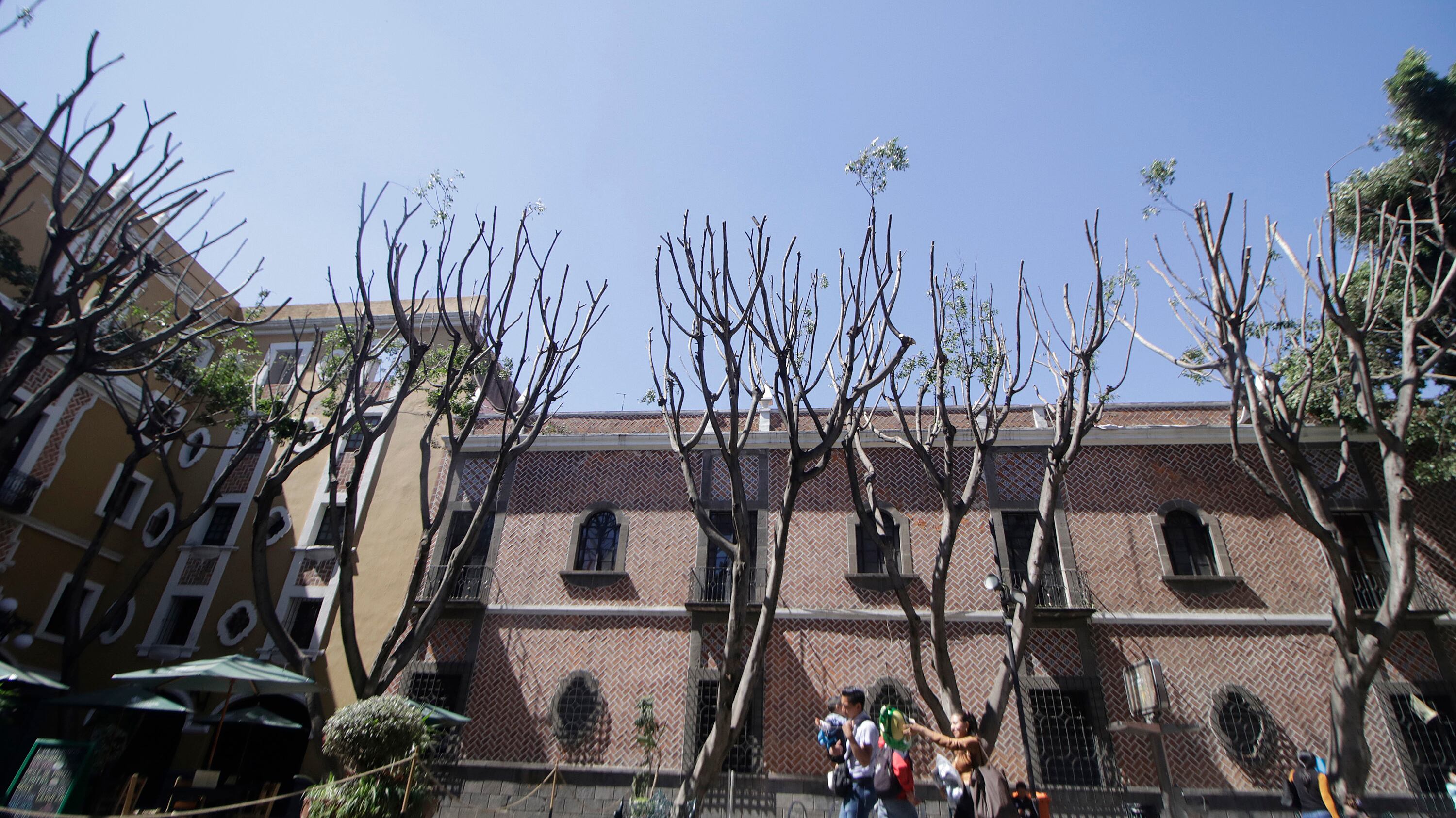 FOTO: Mara González/Agencia Enfoque