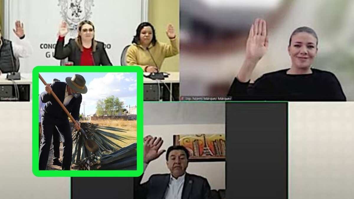 Preocupa la caída en precios del agave guanajuatense.