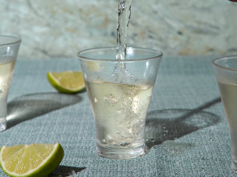 Música, catas y récord Guinness: así fue la celebración del agave más grande de México en 2025