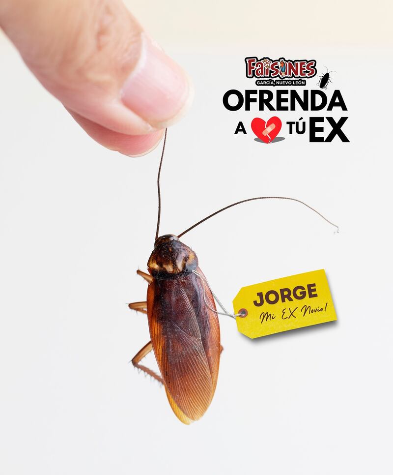 La publicación ha sido bien aceptada por usuarios de redes.