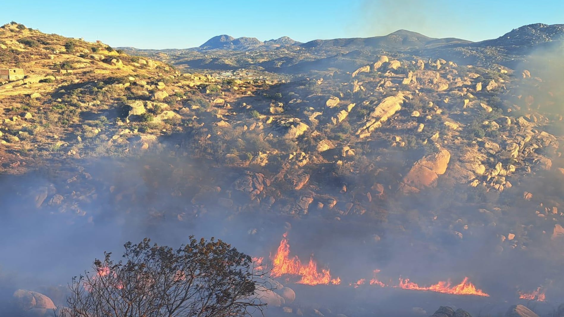 Tecate incendio forestal