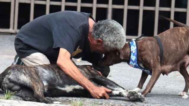 "Dormíamos juntos, la comida aquí siempre era primero para ellos y yo creo que me demostró mucho más el cariño que yo tengo por él, dio la vida por mí", dijo José Luis.