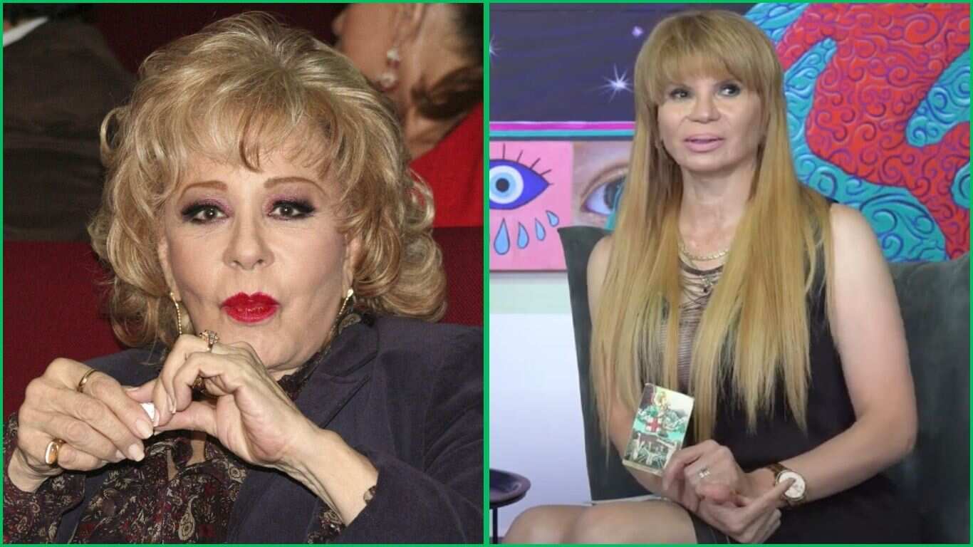 ¿Cuál es la herencia de Silvia Pinal?