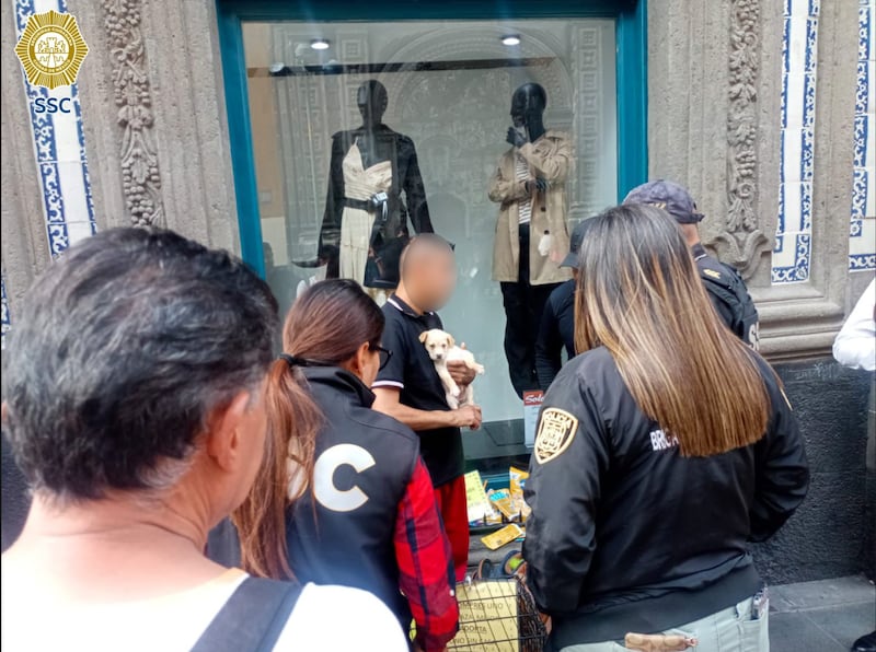 Explotación animal en Centro Histórico