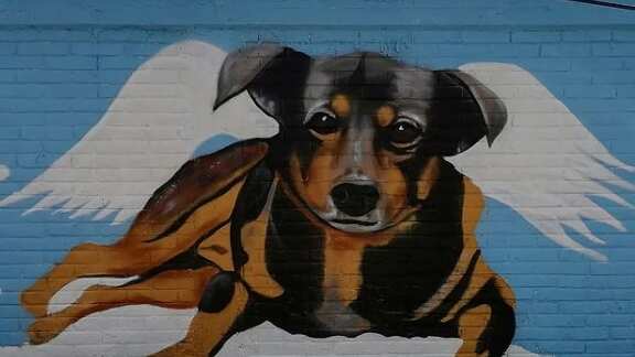 Fernando Cruz utilizó más de 20 diferentes colores de pintura en aerosol para plasmar su obra.