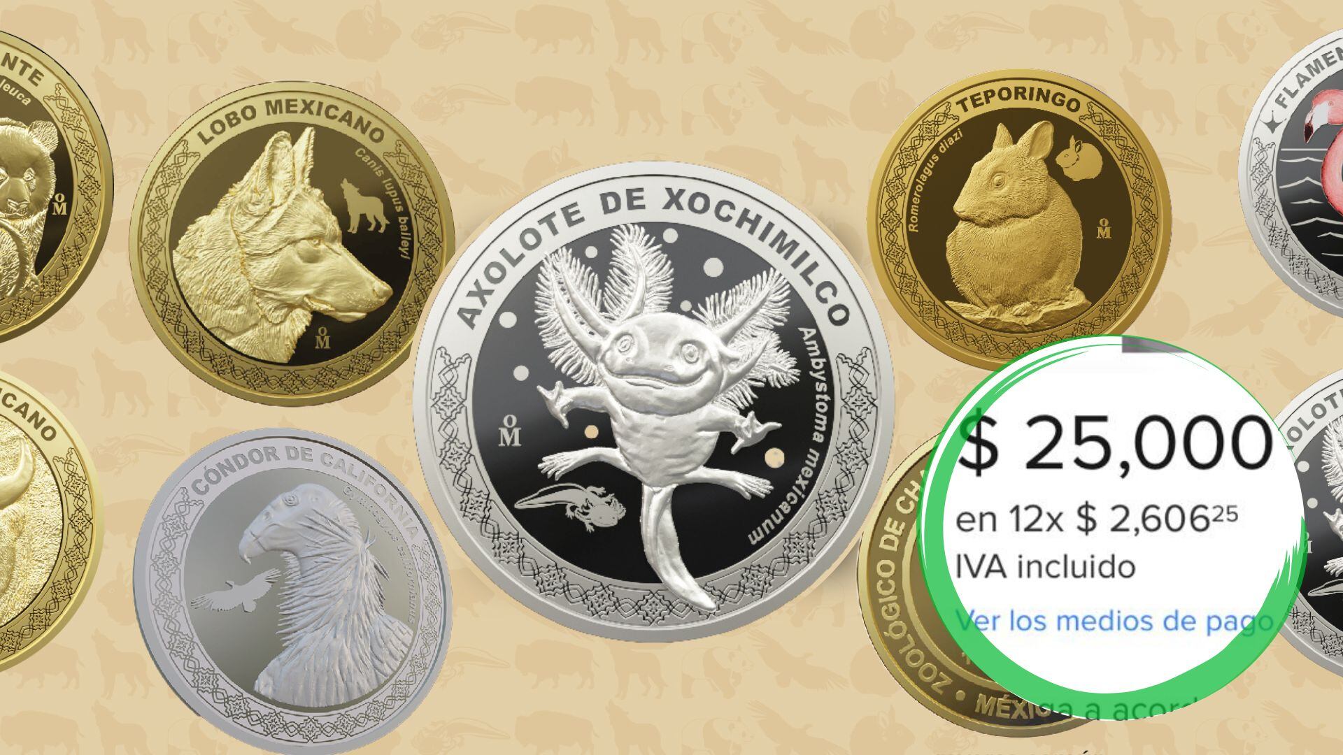 La colección conmemorativa aún se puede adquirir en la tienda XinXin al interior del Zoológico de Chapultepec.