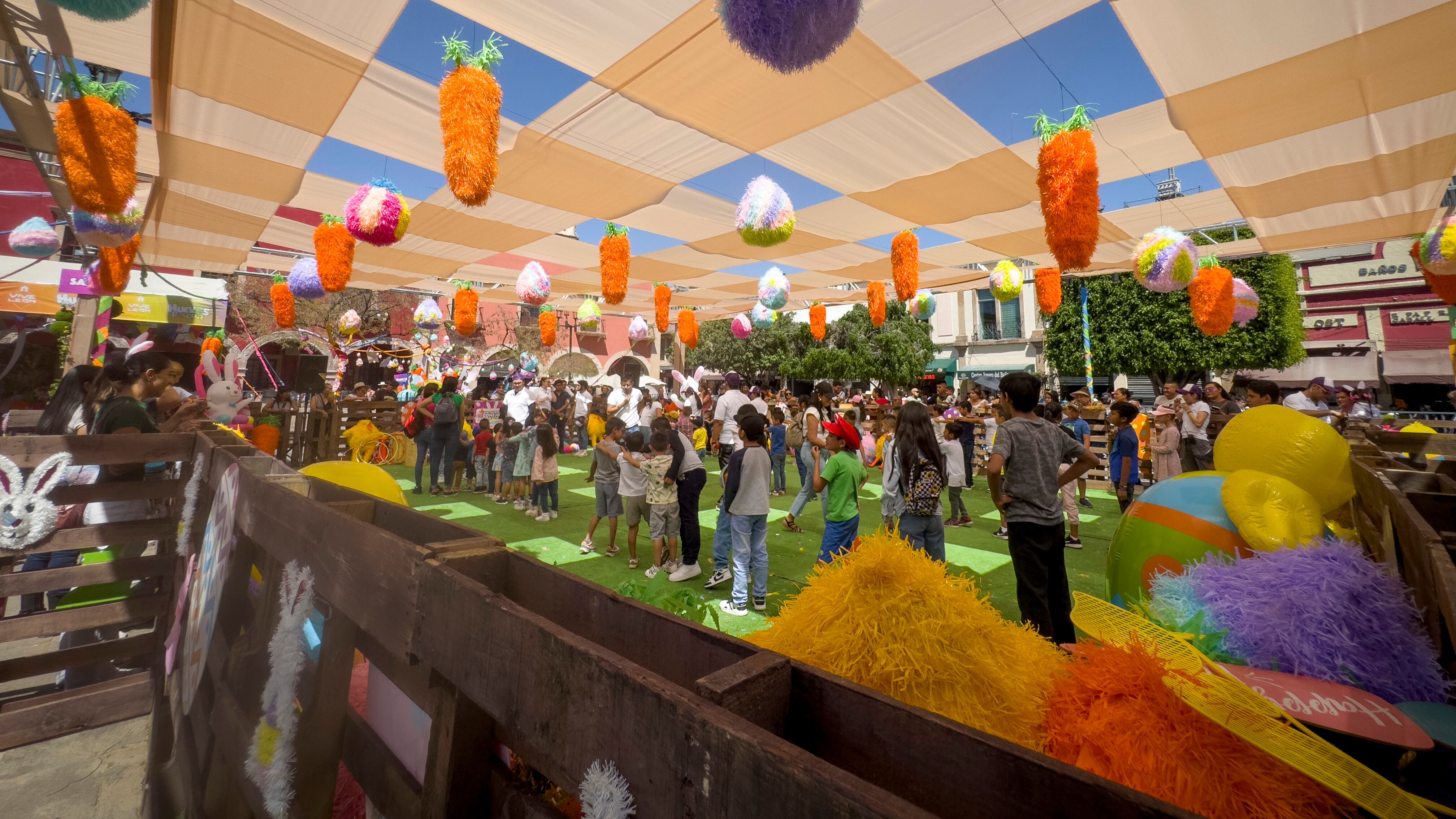 Festival Vive León.