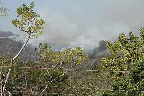 Más de 282 hectáreas dañadas por incendios en Cabo Corrientes; 84 brigadistas los combaten