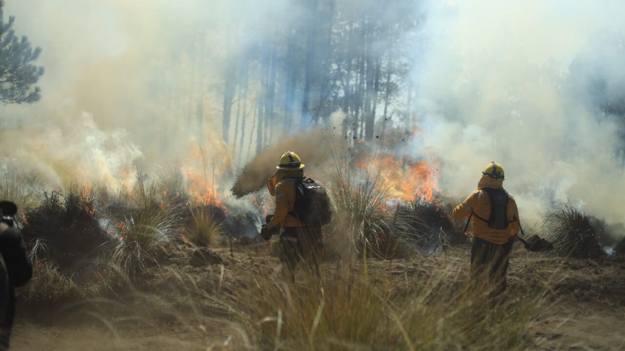 Incendios Forestales