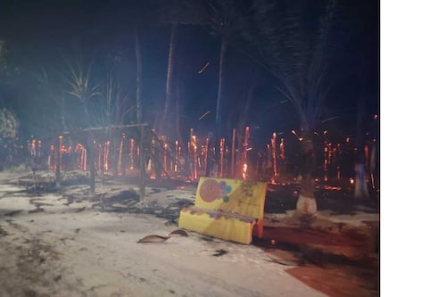 Incendio en Mahahual consume hasta 40 palapas en zona ecológica de Quintana Roo