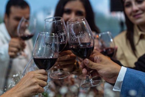 ¿Dónde vivir las Vendimias 2026? Guanajuato tendrá vino, música, catas y pisado de uva