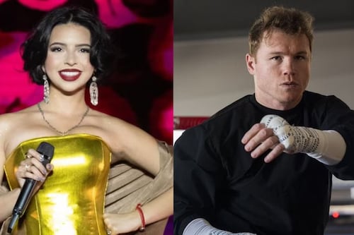 “No le hagan caso a ese youtuber”: El mensaje del “Canelo” que se volvió viral tras las acusaciones