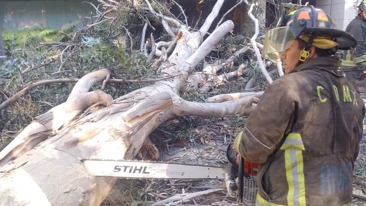 Al lugar acudieron elementos del Cuerpo de Bomberos para atender la emergencia. (Especial)