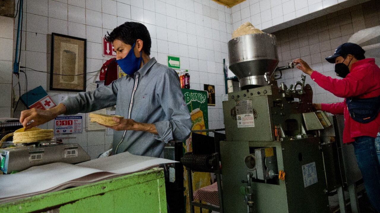 El precio máximo de la tortilla está en 30 pesos o más y, aun cuando la tonelada de maíz bajó 8%, el costo de la electricidad, gas y rentas impiden una disminución en el valor del básico.