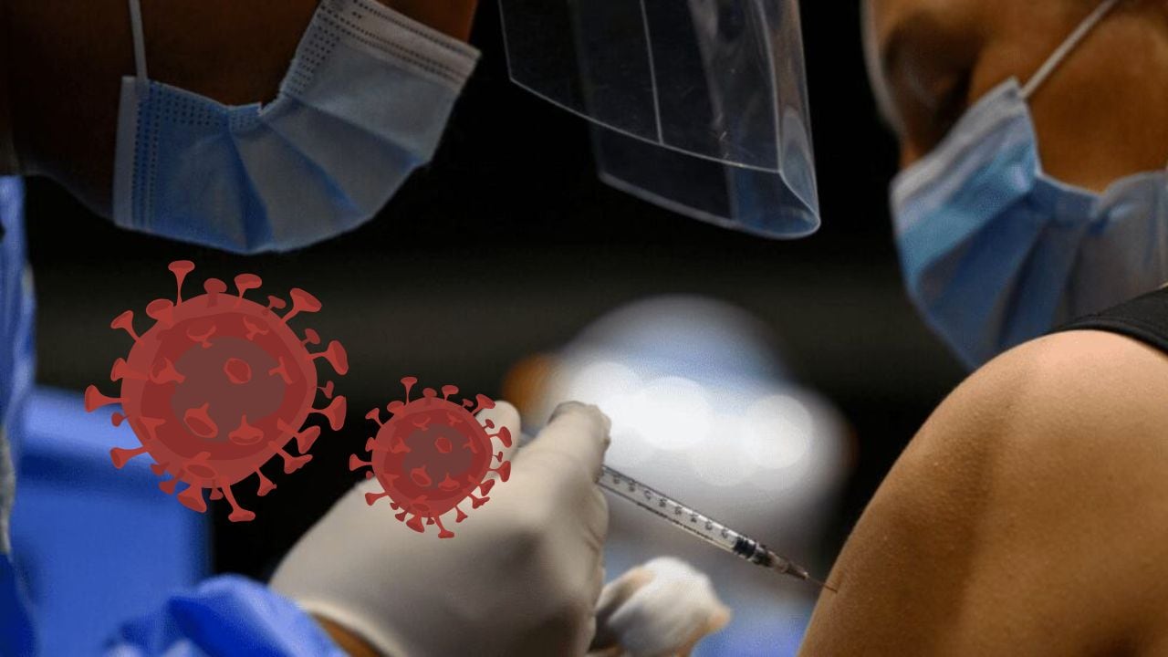 Hantavirus en México